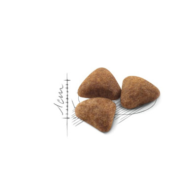 Royal Canin Indoor 27 – Hrană Uscată pentru Pisici de Interior Adulte – 2 kg